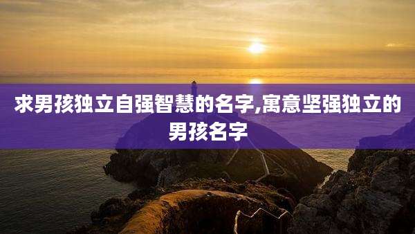 求男孩独立自强智慧的名字,寓意坚强独立的男孩名字