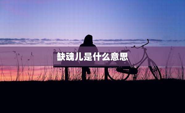 缺魂儿是什么意思