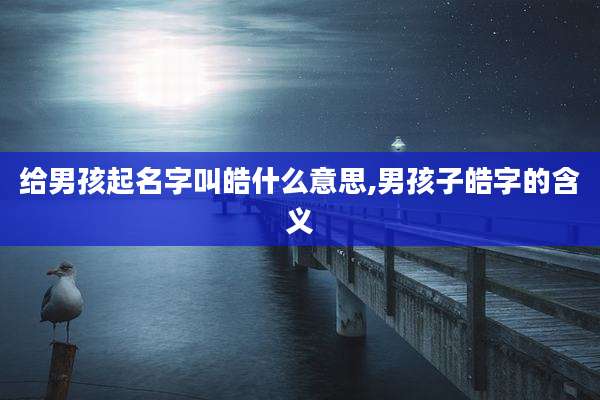 给男孩起名字叫皓什么意思,男孩子皓字的含义
