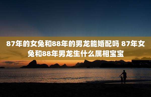 87年的女兔和88年的男龙能婚配吗 87年女兔和88年男龙生什么属相宝宝