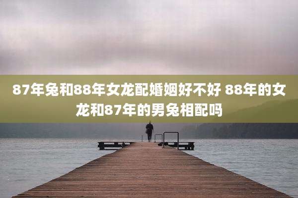 87年兔和88年女龙配婚姻好不好 88年的女龙和87年的男兔相配吗