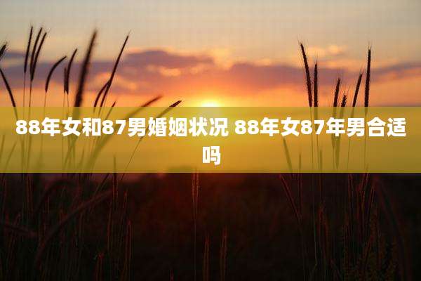 88年女和87男婚姻状况 88年女87年男合适吗