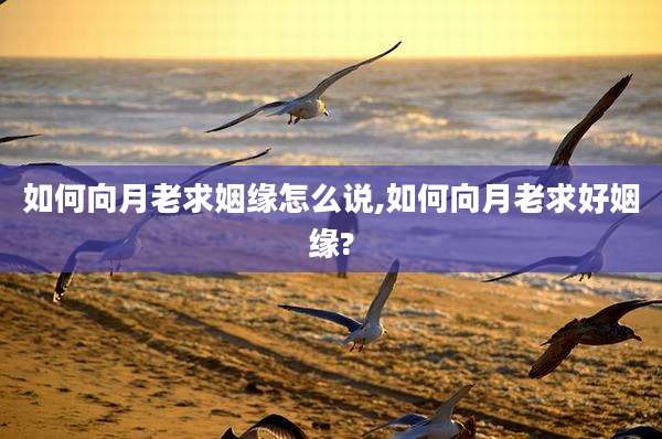 如何向月老求姻缘怎么说,如何向月老求好姻缘?