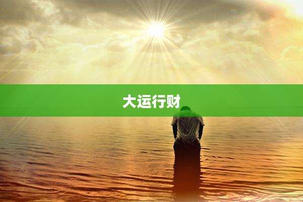 大运行财