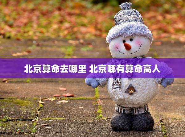 北京算命去哪里 北京哪有算命高人