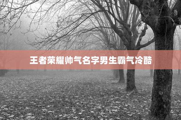 王者荣耀帅气名字男生霸气冷酷