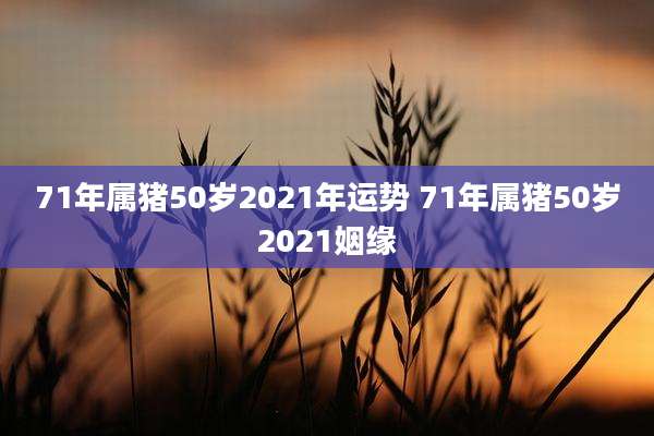 71年属猪50岁2021年运势 71年属猪50岁2021姻缘