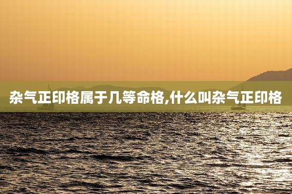 杂气正印格属于几等命格,什么叫杂气正印格