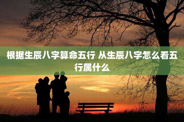 根据生辰八字算命五行 从生辰八字怎么看五行属什么