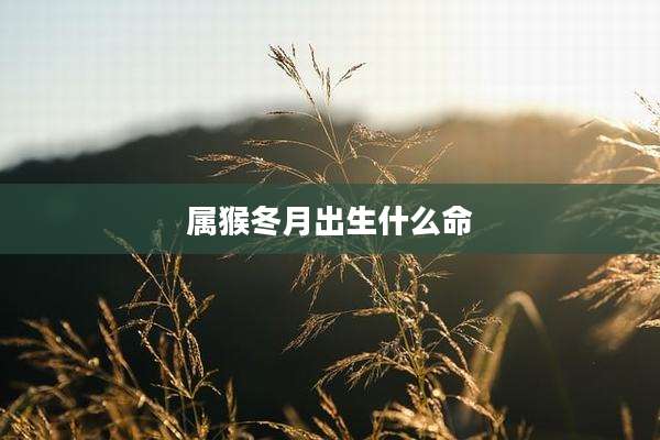 属猴冬月出生什么命