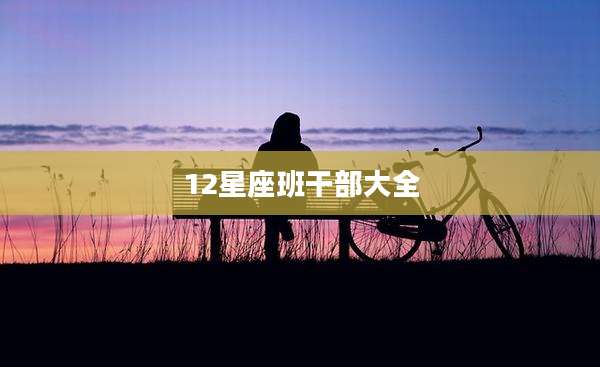 12星座班干部大全
