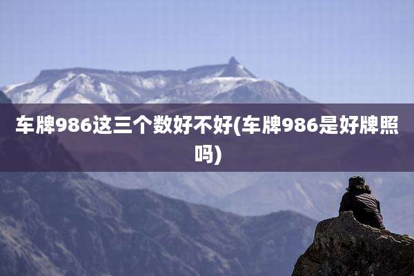 车牌986这三个数好不好(车牌986是好牌照吗)