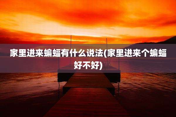 家里进来蝙蝠有什么说法(家里进来个蝙蝠好不好)