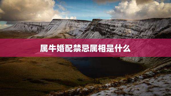 属牛婚配禁忌属相是什么