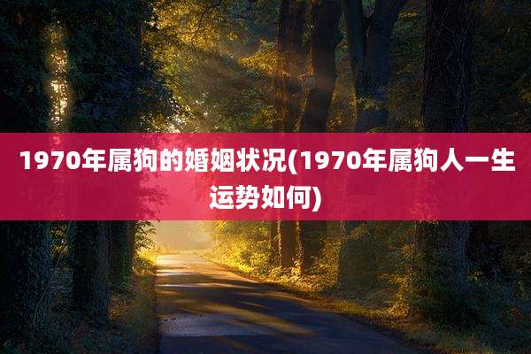 1970年属狗的婚姻状况(1970年属狗人一生运势如何)
