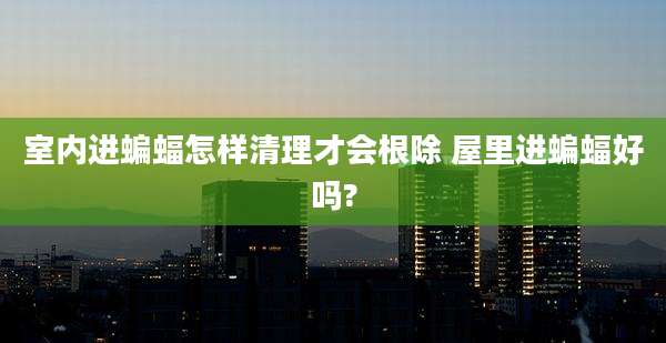 室内进蝙蝠怎样清理才会根除 屋里进蝙蝠好吗?