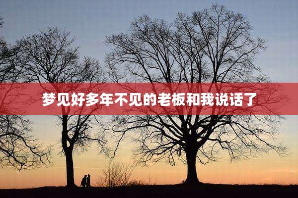 梦见好多年不见的老板和我说话了