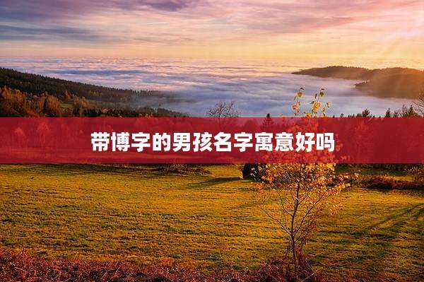 带博字的男孩名字寓意好吗