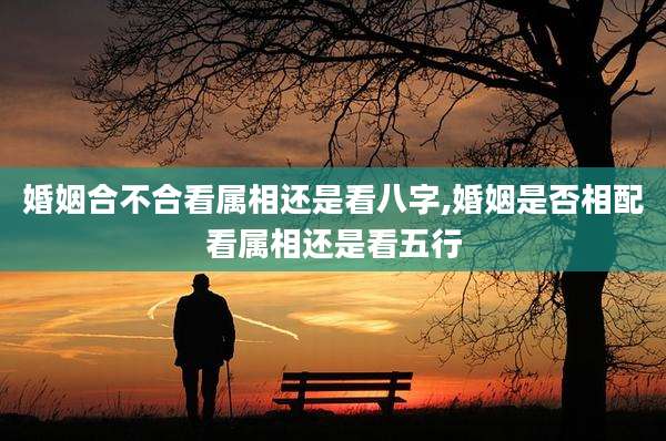 婚姻合不合看属相还是看八字,婚姻是否相配看属相还是看五行