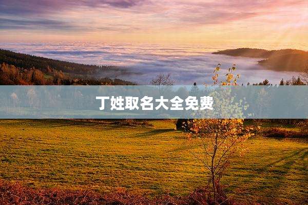 丁姓取名大全免费