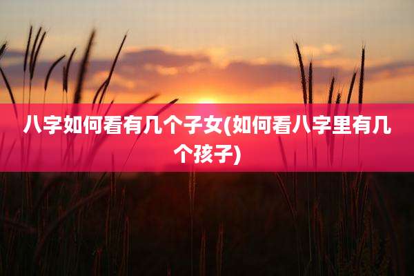 八字如何看有几个子女(如何看八字里有几个孩子)