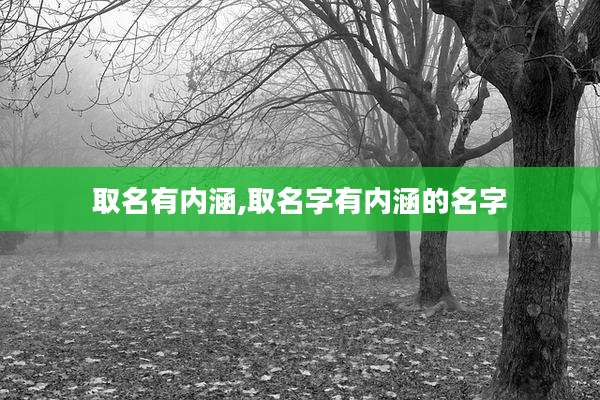 取名有内涵,取名字有内涵的名字