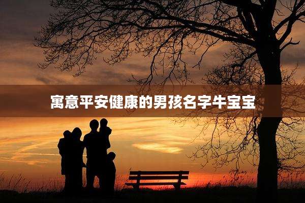 寓意平安健康的男孩名字牛宝宝