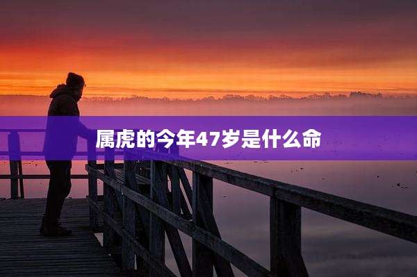 属虎的今年47岁是什么命