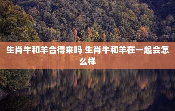 生肖牛和羊合得来吗 生肖牛和羊在一起会怎么样