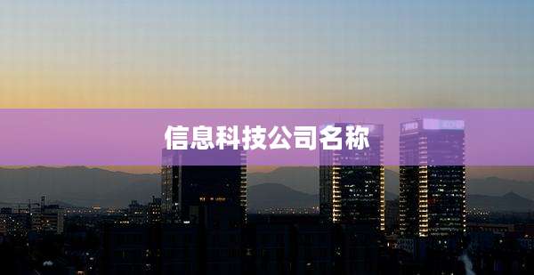 信息科技公司名称