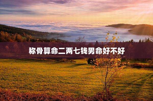 称骨算命二两七钱男命好不好