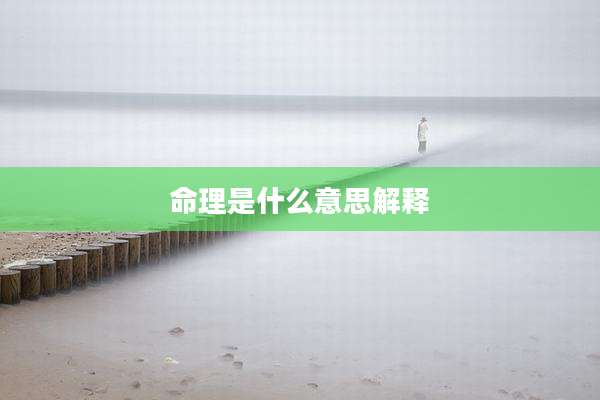 命理是什么意思解释