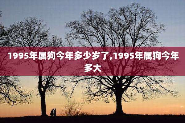 1995年属狗今年多少岁了,1995年属狗今年多大