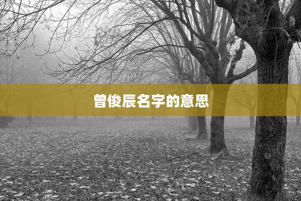 曾俊辰名字的意思