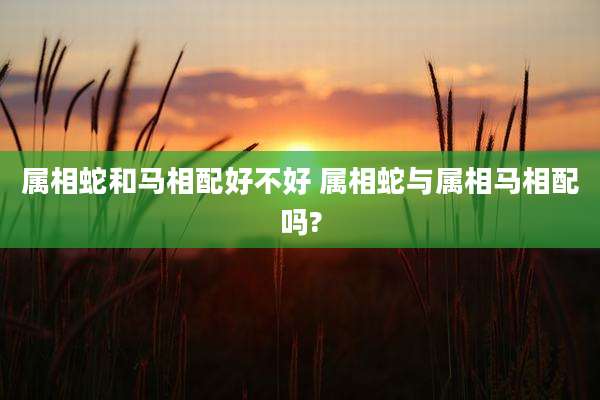 属相蛇和马相配好不好 属相蛇与属相马相配吗?