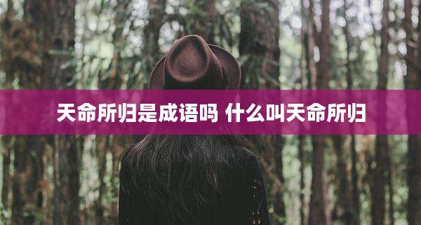天命所归是成语吗 什么叫天命所归