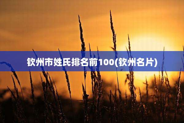 钦州市姓氏排名前100(钦州名片)
