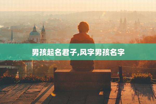 男孩起名君子,风字男孩名字