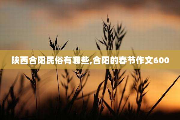 陕西合阳民俗有哪些,合阳的春节作文600