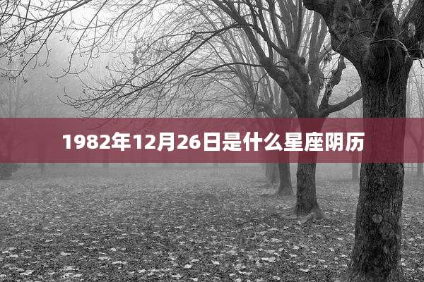 1982年12月26日是什么星座阴历
