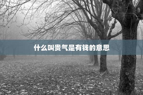什么叫贵气是有钱的意思