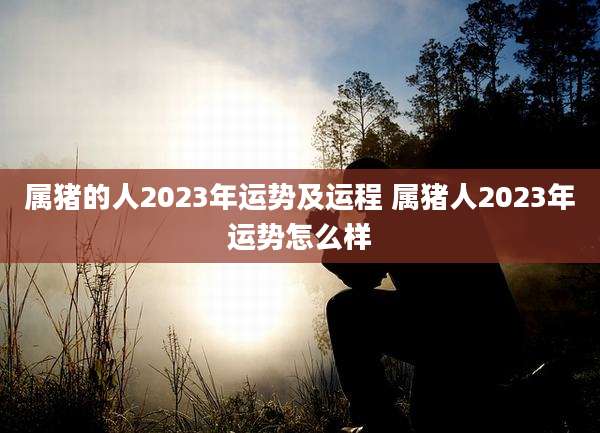 属猪的人2023年运势及运程 属猪人2023年运势怎么样