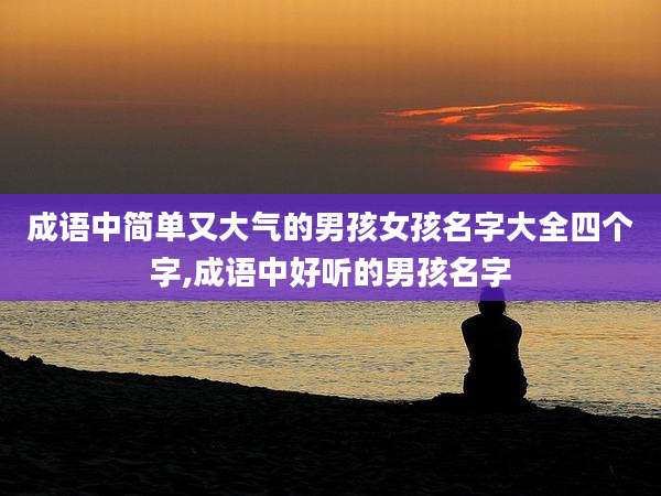 成语中简单又大气的男孩女孩名字大全四个字,成语中好听的男孩名字