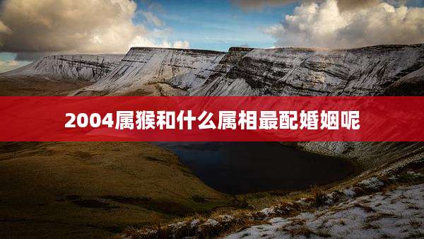 2004属猴和什么属相最配婚姻呢