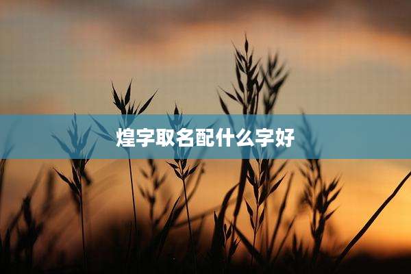 煌字取名配什么字好
