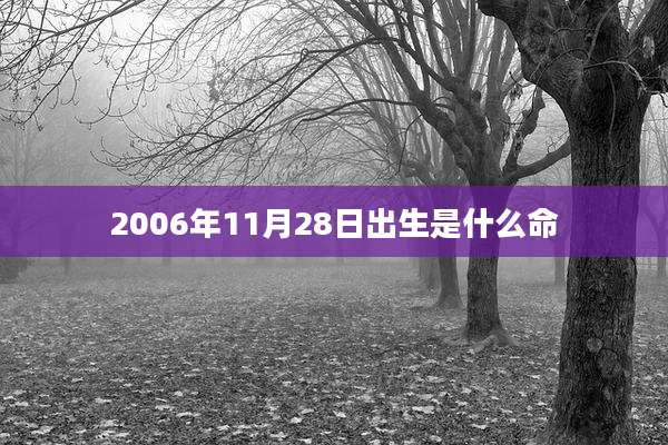 2006年11月28日出生是什么命