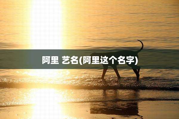 阿里 艺名(阿里这个名字)
