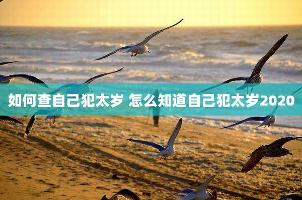 如何查自己犯太岁 怎么知道自己犯太岁2020