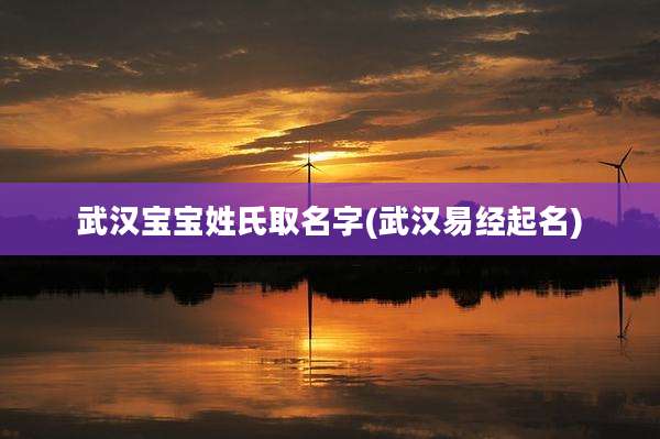 武汉宝宝姓氏取名字(武汉易经起名)
