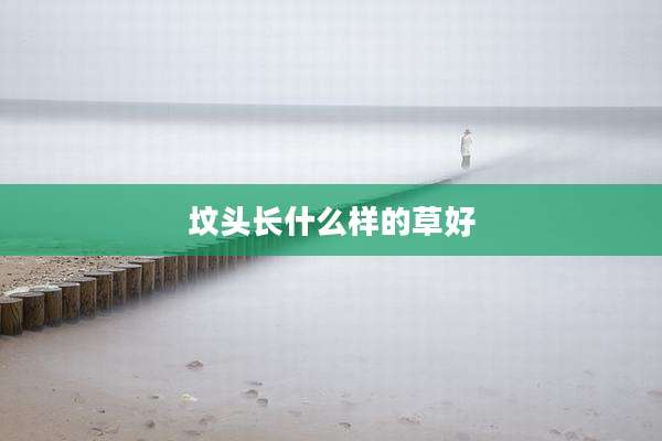 坟头长什么样的草好